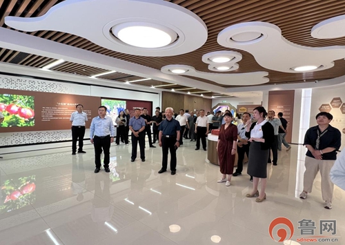 枣庄市市中区政协视察全区乡村振兴工作