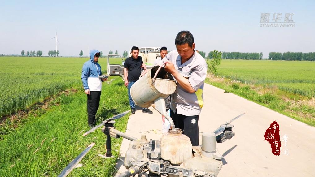 千城百县看中国｜山东临沭：“一喷三防”筑牢夏粮丰收“防护墙”